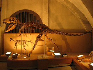 20090921-IMG_2095.jpg