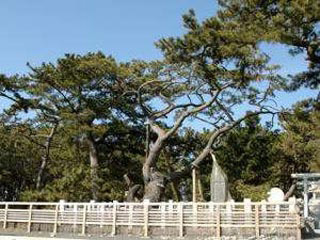 20090928-hagoromonomatu.jpg
