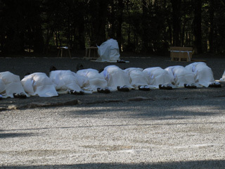 20100102-IMG_2993.jpg