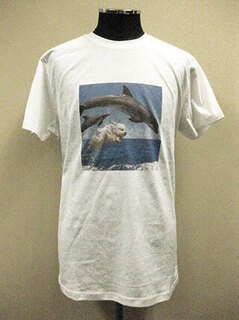 20230427-IMG_6746.jpg